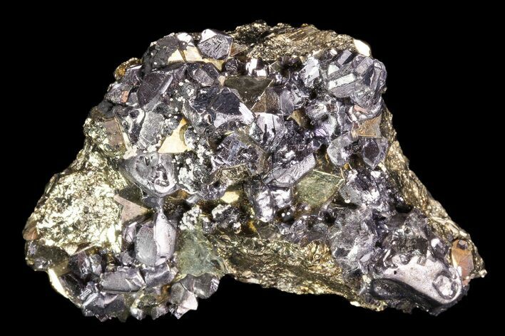 Galena and Octahedral Pyrite Association - Peru #99687